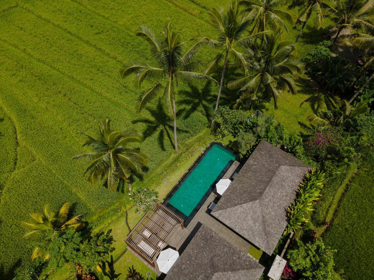Kappa Senses Ubud Εξωτερικό φωτογραφία