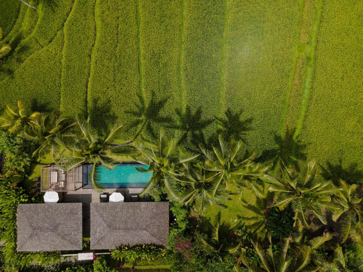 Kappa Senses Ubud Εξωτερικό φωτογραφία