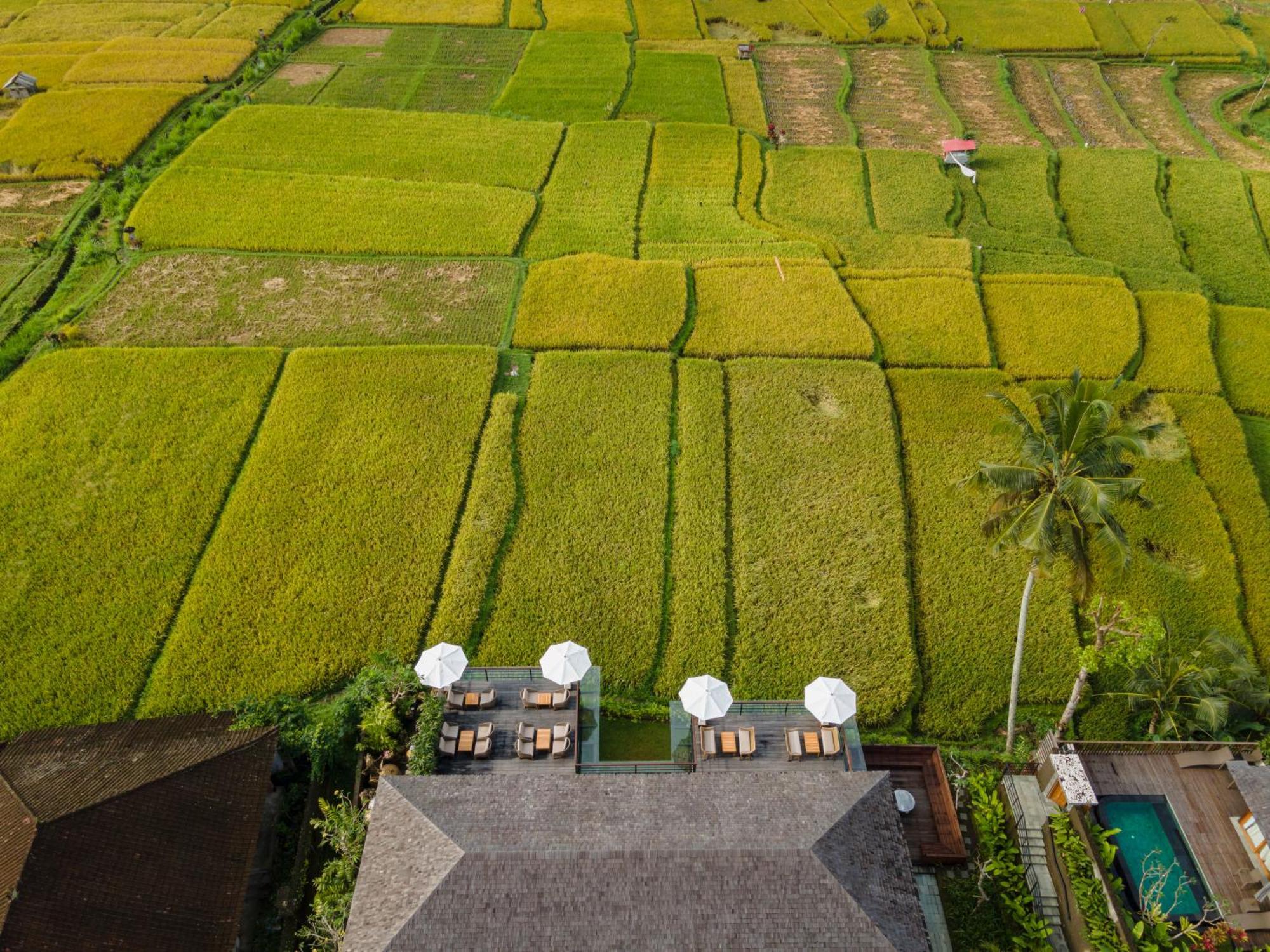 Kappa Senses Ubud Εξωτερικό φωτογραφία