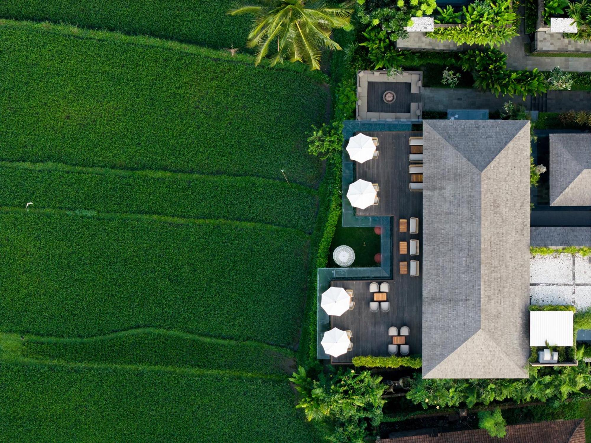 Kappa Senses Ubud Εξωτερικό φωτογραφία