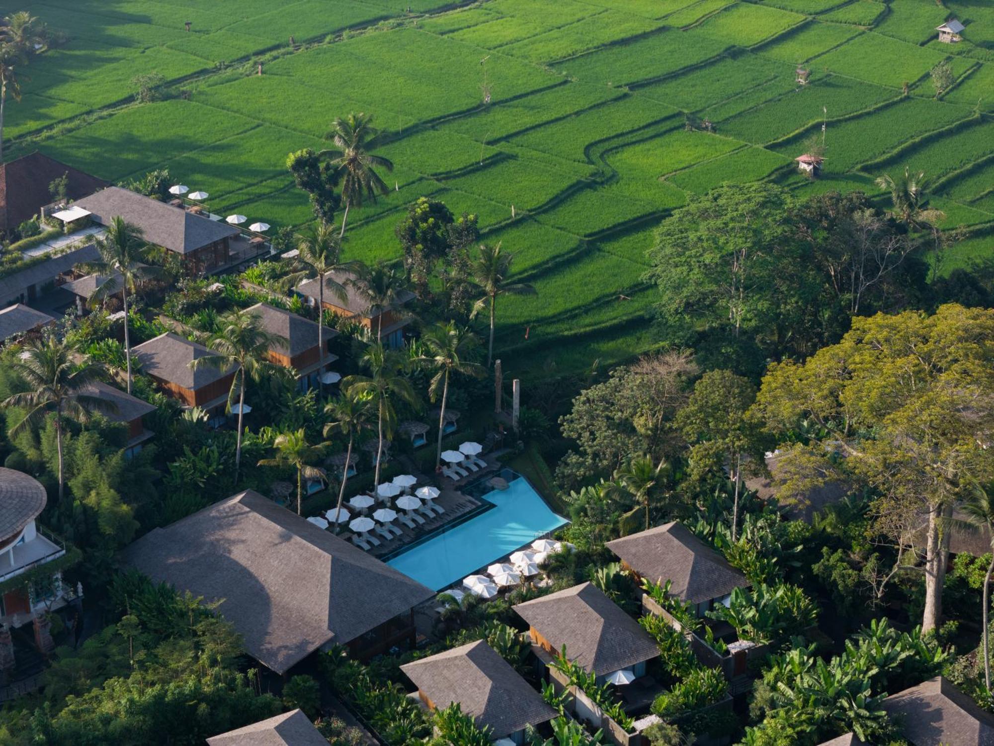 Kappa Senses Ubud Εξωτερικό φωτογραφία