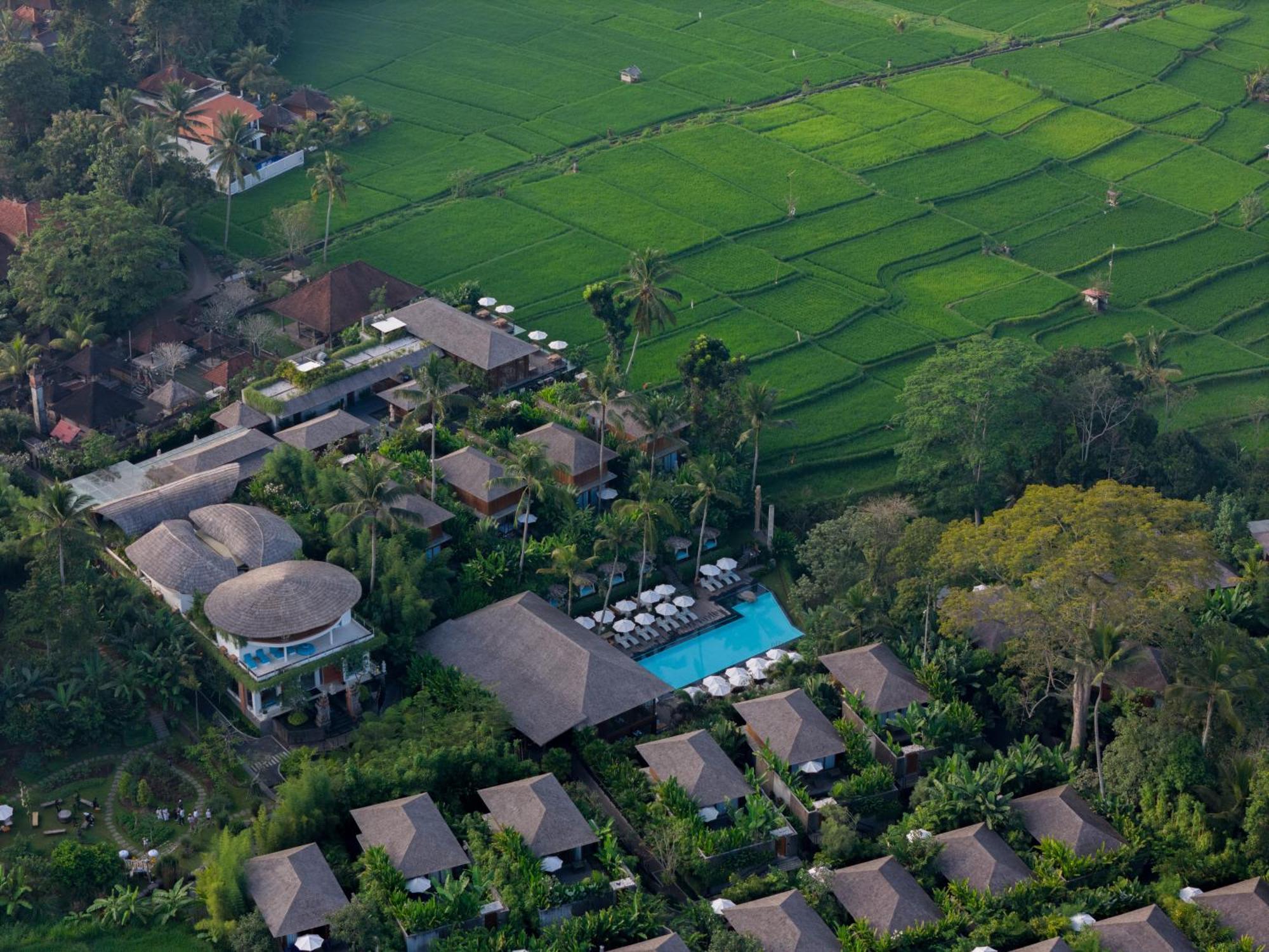 Kappa Senses Ubud Εξωτερικό φωτογραφία