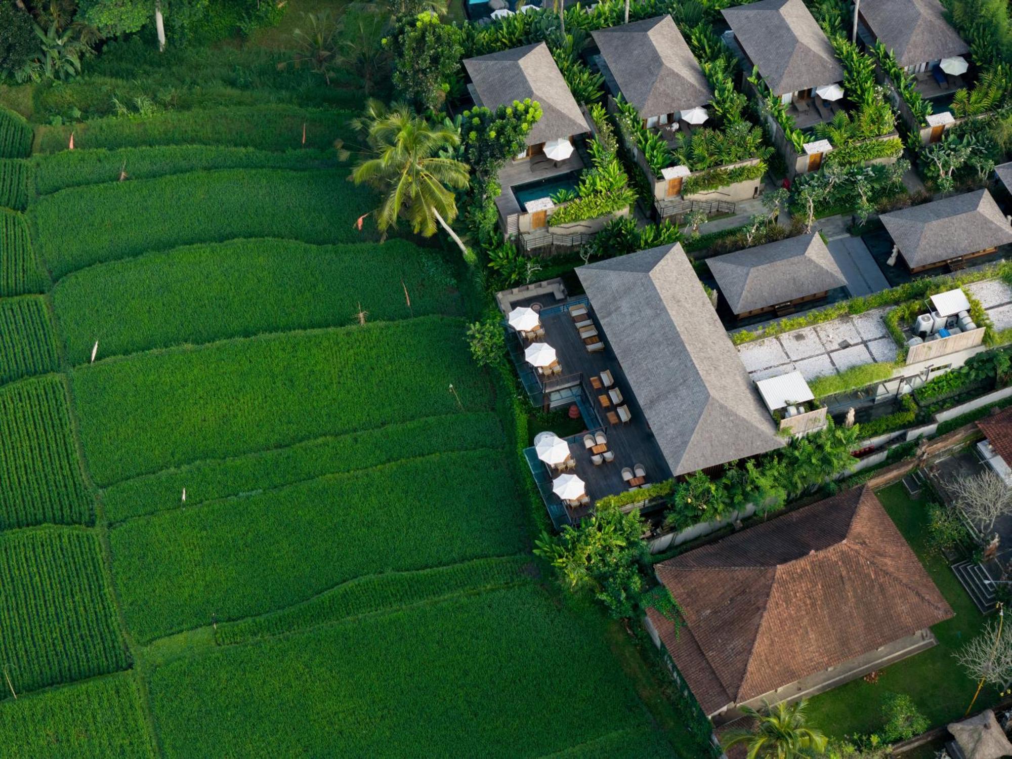 Kappa Senses Ubud Εξωτερικό φωτογραφία