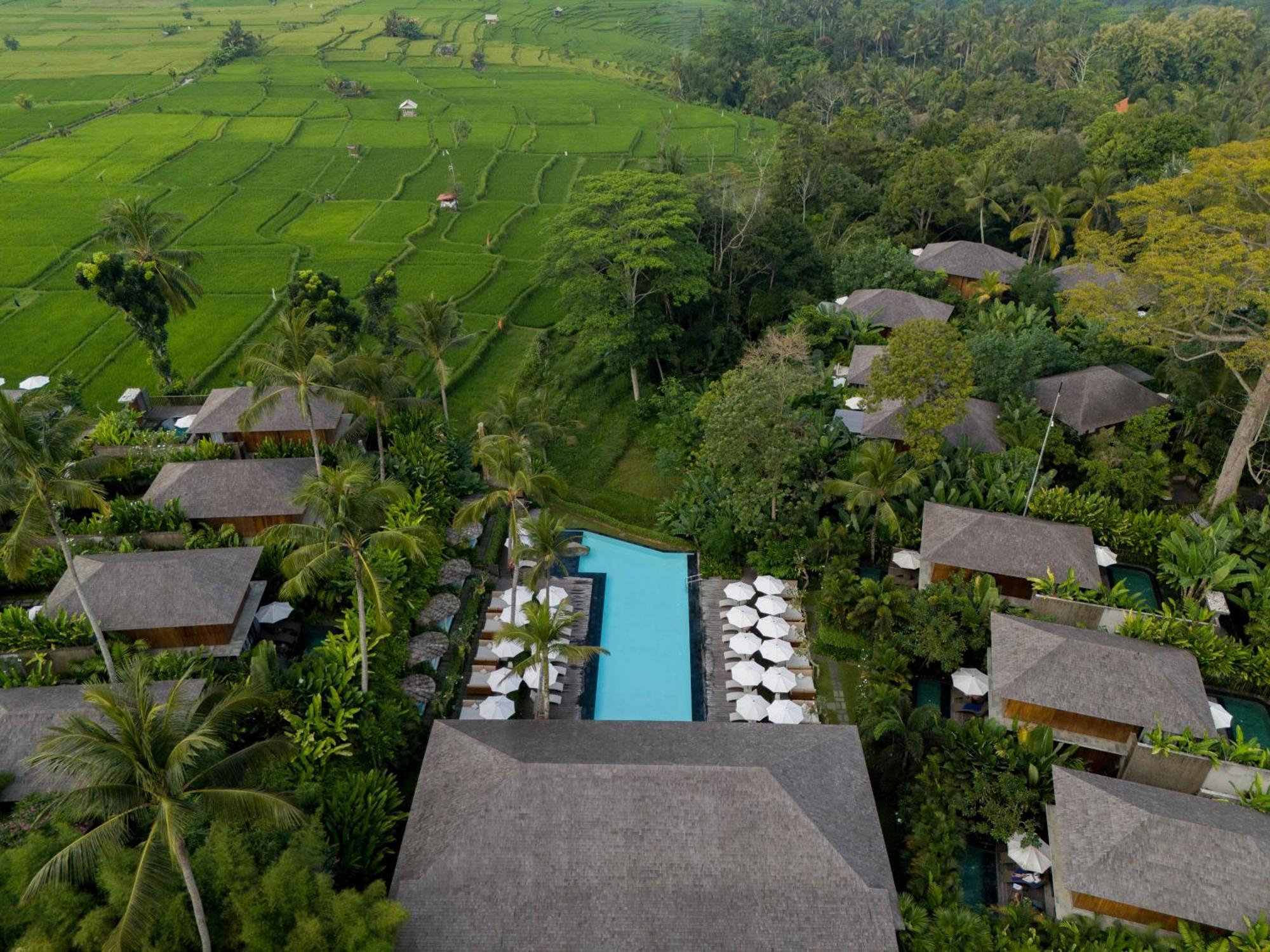 Kappa Senses Ubud Εξωτερικό φωτογραφία