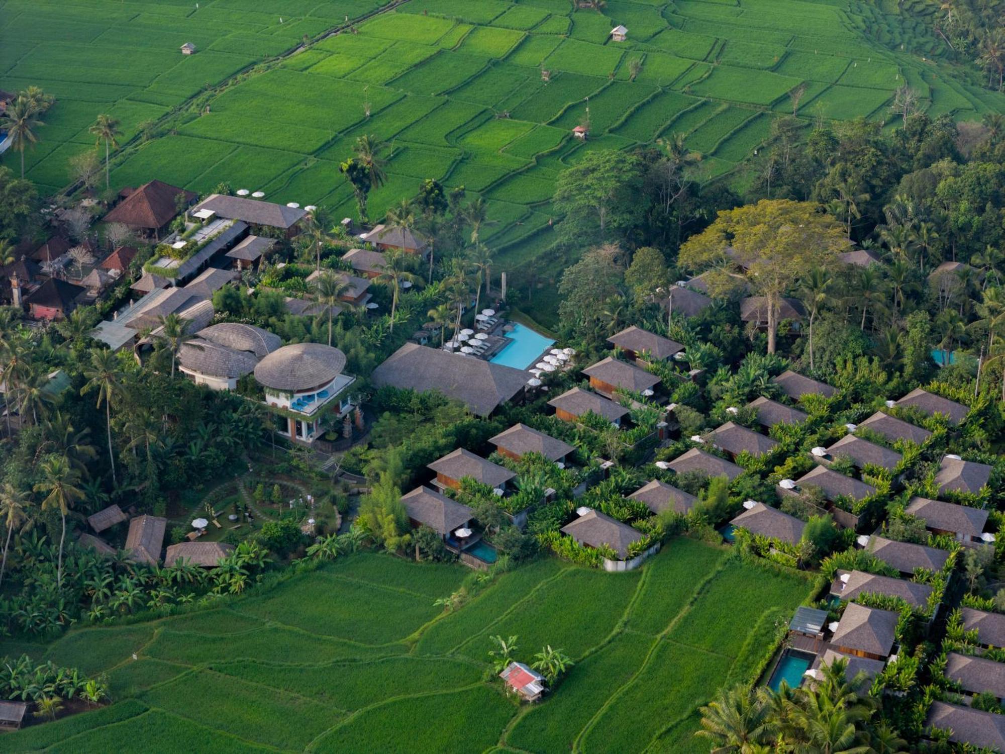 Kappa Senses Ubud Εξωτερικό φωτογραφία